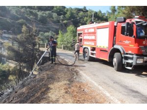 Aydın’da piknik ateşi yangına sebep oldu