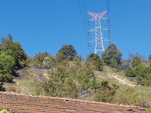 Ormanlık alanda çıkan yangında iki dönüm mera alanı yandı