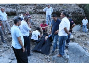 Pikniğe gelen ailenin acı sonu