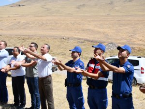 Kulu'da 200 keklik doğaya bırakıldı