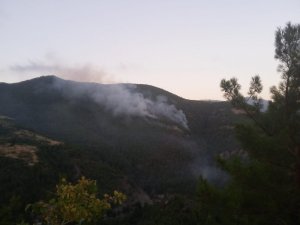 Hatay’da orman yangını