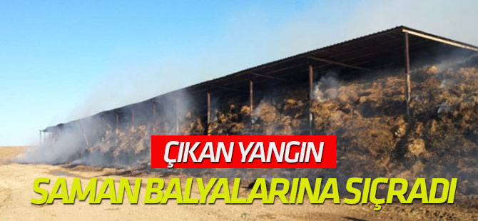 Konya'da  Saman Balyaları Yandı
