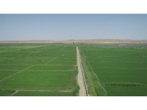 Toprağı suyla buluşturan proje ekonomiye 54 milyon lira katkı sağlayacak