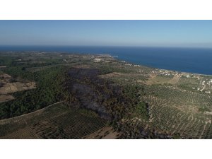 Çanakkale’nin yanan ciğerleri havadan görüntülendi