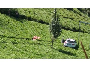 Trabzon’da otomobil çay bahçesine uçtu: 1 ölü