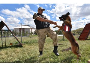 Hassas burun "Obur", patlayıcılara geçit vermiyor