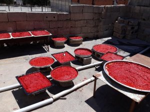 Kilis’te Biber salçası yapılmasına başlandı