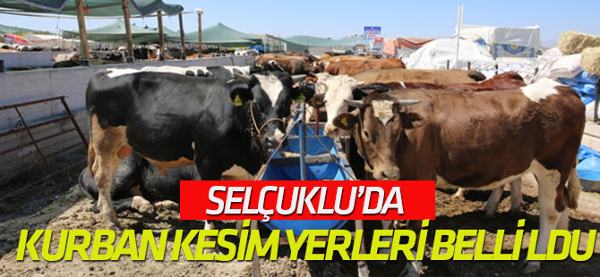 Selçuklu kurbana hazır
