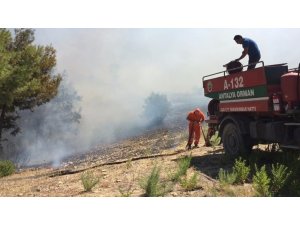 Manavgat’ta orman yangını