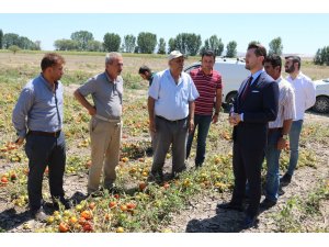 AK Parti Odunpazarı İlçe Başkanı Doğan’dan Ağapınar çiftçilerine ziyaret