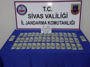 Sahte dolarla hayvan satın alırken yakalandılar