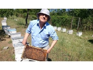 ’Ballı’ üniversite