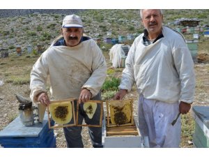Akseki’nin meşhur Çimi Yaylası balı iklim kurbanı oldu