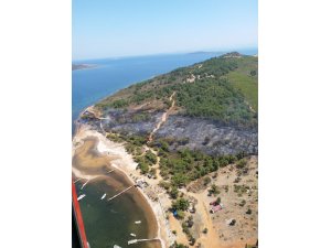 Ayvalık’taki orman yangını söndürüldü