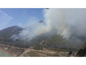 Alanya’da orman yangını (1)
