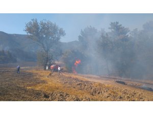 GÜNCELLEME - Bolu'da orman yangını