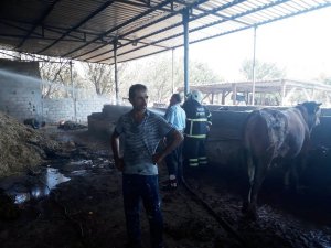 Hatay’da ahırda yangın çıktı
