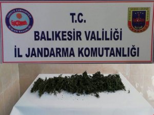 Jandarmadan uyuşturucu operasyonu