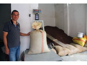 Giresun’da serbest piyasada fındık fiyatı 14 liraya dayandı