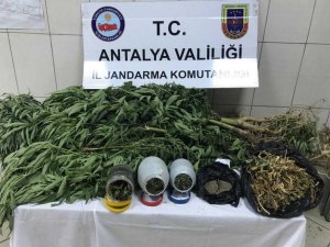 Uyuşturucu operasyonunda 1 kişi gözaltında