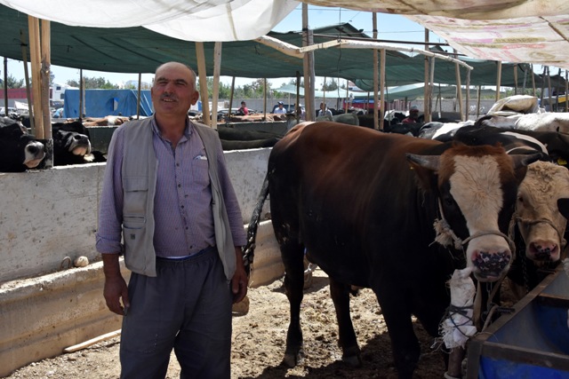 "Kurbanlık" bilançosu