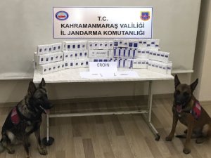 Jandarmadan huzur operasyonu: 12 şahıs yakalandı