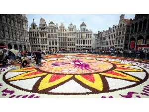Grande Place meydanı Latin motifli çiçek halıya bezendi