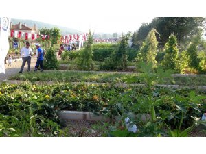 Yerel tohum merkezi açıldı