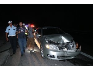 Otoyola çıkan koyun faciaya neden oluyordu