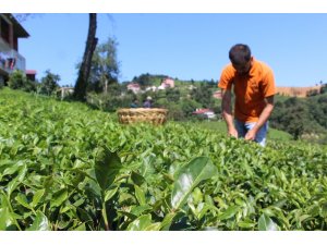 Dünyada sadece Of’ta üretiliyor