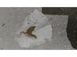 Samsun’da uyuşturucu operasyonu: 12 gözaltı