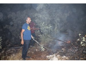 Midyat’ta korkutan orman yangını