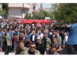 Deniz tutkunları Sinop açıklarına demirledi