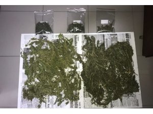 Bafra’da 1 kilo 100 gram kubar esrar ele geçirildi