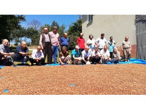 TMO’dan fındık açıklaması