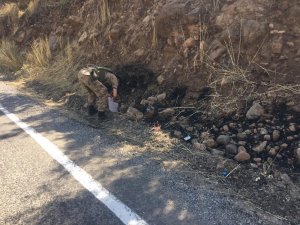 Beytüşşebap’ta orman yangını