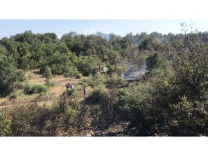 Bursa'da orman yangını