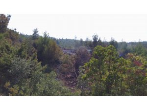 Hatay'da orman yangını