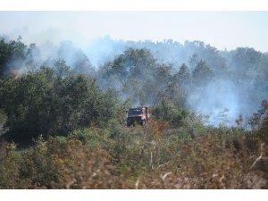 Bursa’da 5 hektarlık alan küle döndü