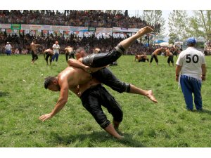 27. Geleneksel Yayla Seki Yağlı Güreşleri