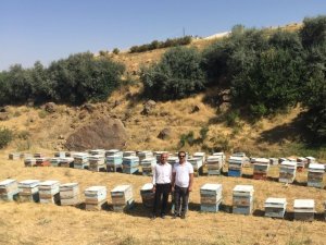 Van’da çifte bayram