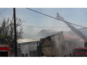 Köyde çıkan yangında 2 büyükbaş hayvan ve 2 köpek telef oldu