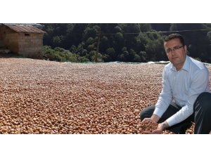 Fındıkta depolama uyarısı