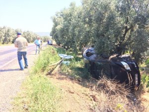 Kadın sürücü yol levhasına çarpıp zeytinliğe uçtu