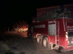 Orman yangını fıstık bahçelerine zarar verdi