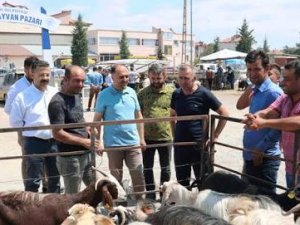 Özaltun, kurban pazarında inceleme yaptı