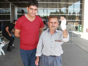Acemi kasaplar kurbanlık yerine kendilerini kesti