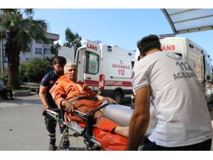 Acemi kasaplar hastanelik oldu