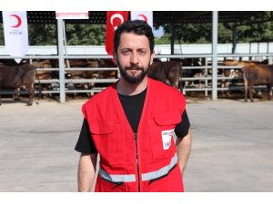 Cumhurbaşkanı Erdoğan'ın vekalet verdiği kurbanlıklar