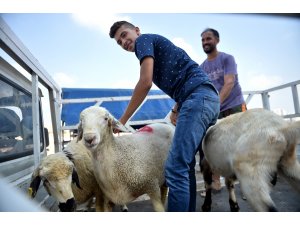 Kurban Bayramı kutlanıyor